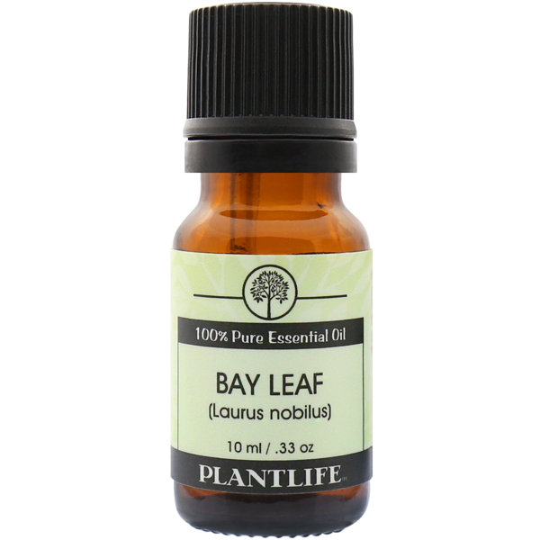 Plantlife Bay Leaf Essential Oil Wayfair